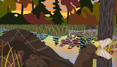 Wildlife technician brings visuals to Parkite’s children’s book