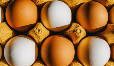 How Much Protein Is Too Much? What Dietitians Want You To Know