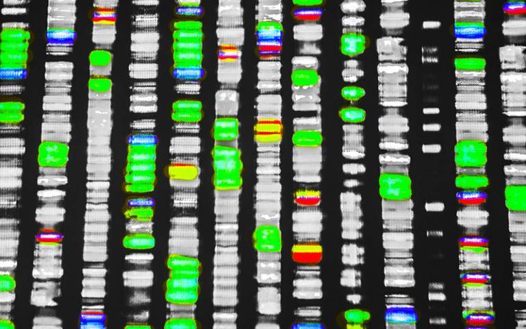 DNA sequence illustration