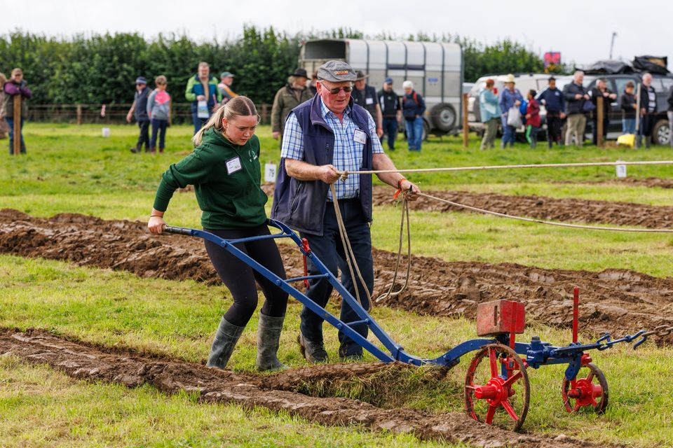 Ploughman Colman Cogan from Co Mayo ploughing with his granddaughter Aleasha Sweeney  on the first day of the National Ploughing Championships in Screggan, Tullamore, Co. Offaly. Pic: Mark Condren