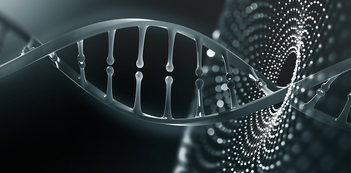 South Africa amended its research guidelines to allow for heritable human genome editing