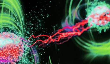 Fringe Movement Claims the Entirety of Modern Physics Is Wrong