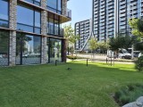 Main camera daylight photos - f/1.8, ISO 80, 1/4024s - Samsung Galaxy S25 FE review
