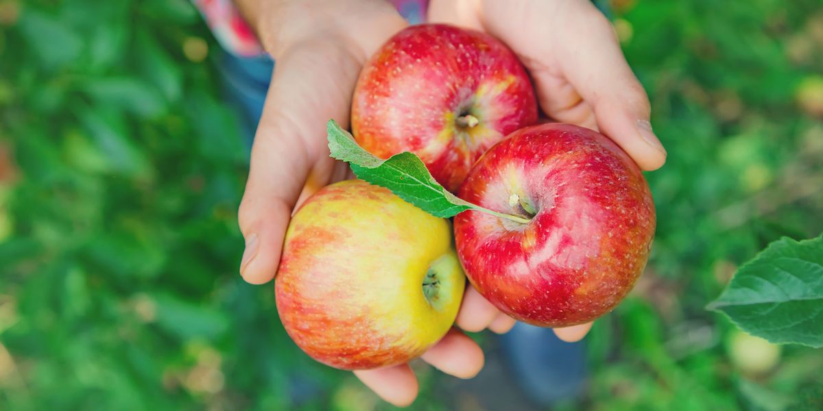What Happened to My Body When I Ate an Apple Every Day