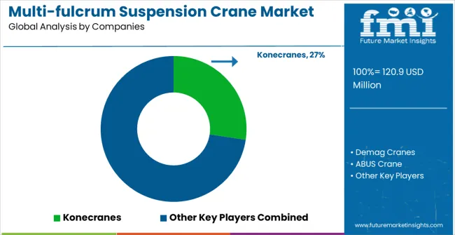 Multi Fulcrum Suspension Crane Market Analysis By Company