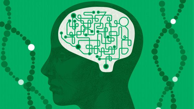 The genetic mystery of why some people develop autism