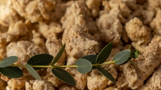 Gut health expert Tanisha Bawa debunks the myth of soya chunks and claims they are worse than junk food.(Pexel)