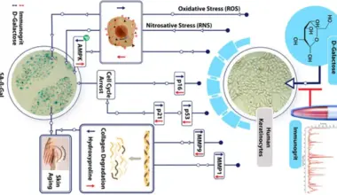 Immunogrit study reveals how ayurveda can help preserve youthfulness
