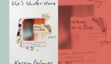 Karen Palmer's memoir details abuse, forgery, kidnapping, breakdown