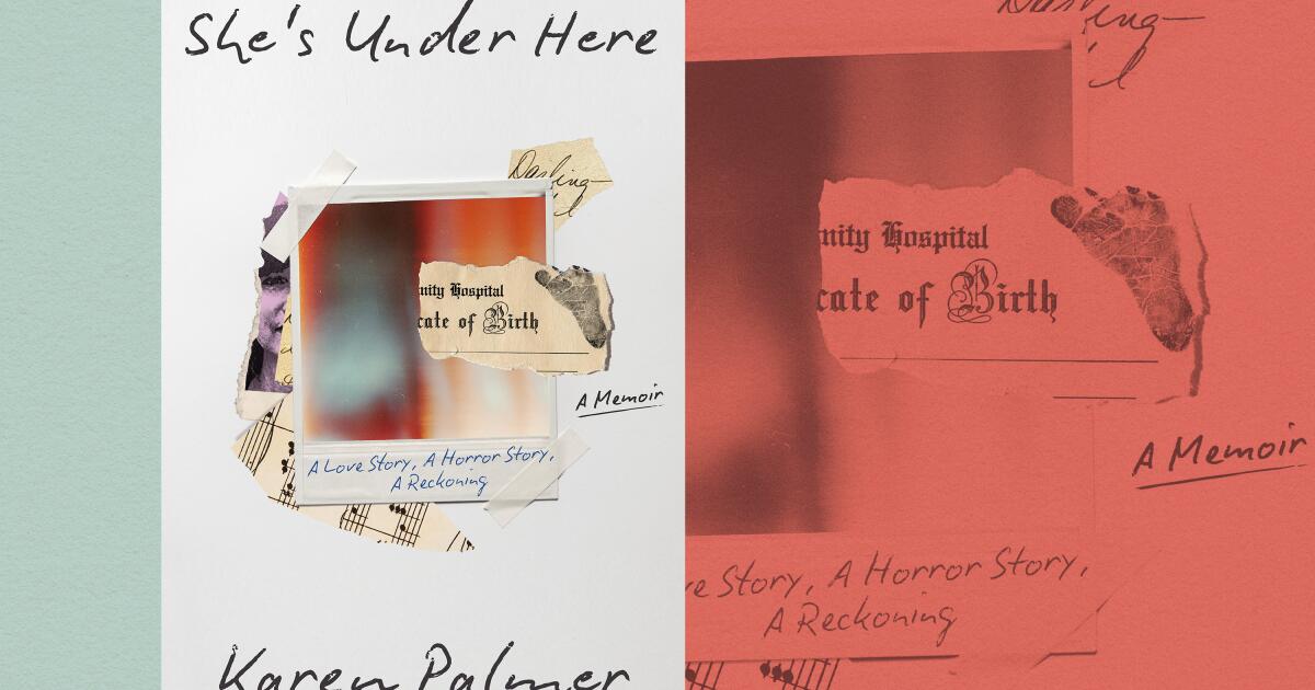 Karen Palmer's memoir details abuse, forgery, kidnapping, breakdown