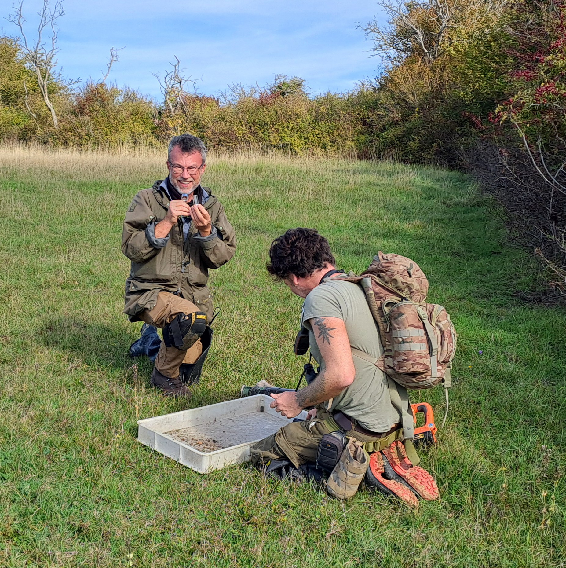 Two entomologists kneeling in a grassy field, examining specimens for the Aulonia albimana spider.