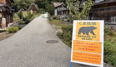 Man killed in apparent bear attack in Japan