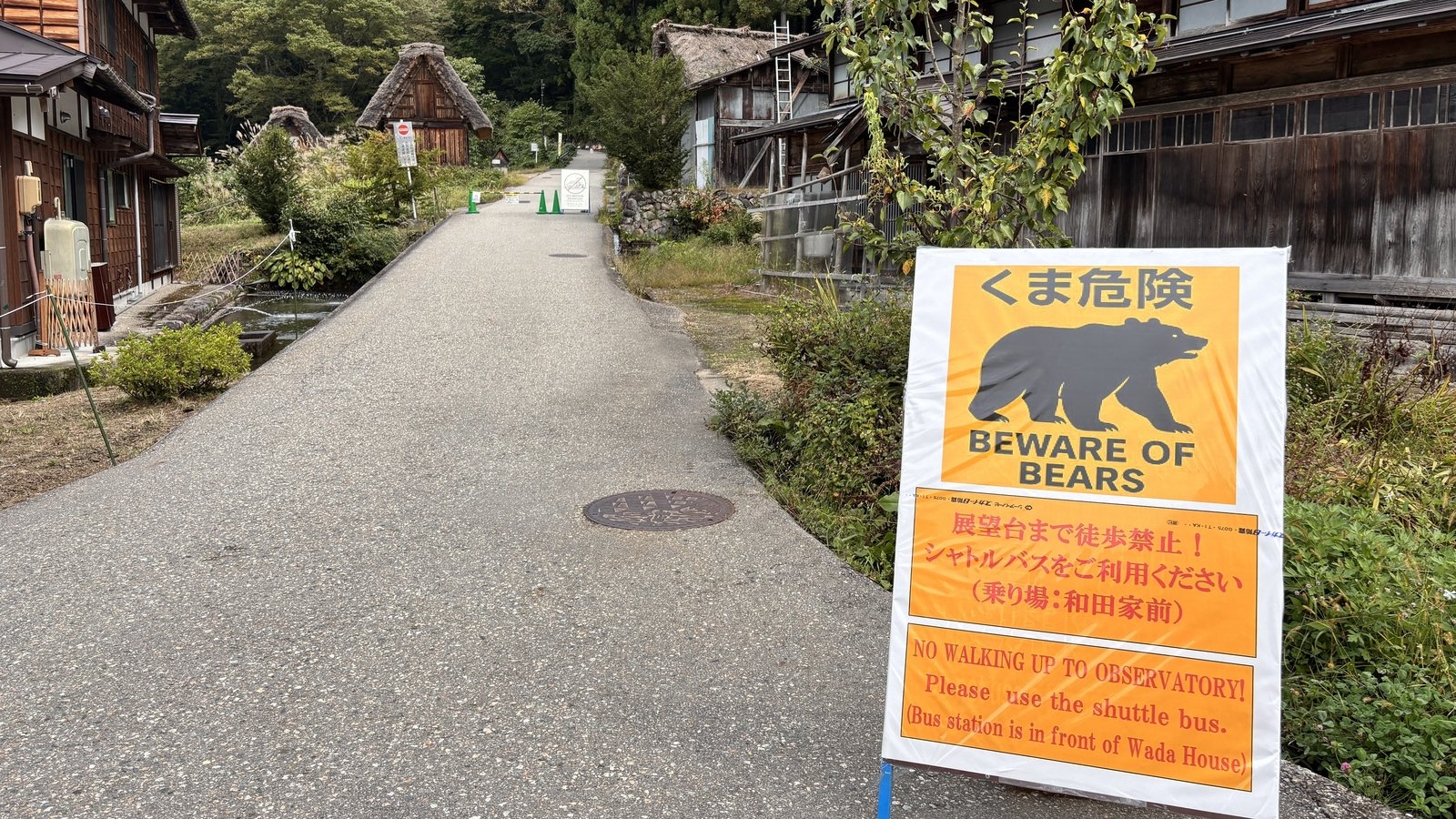 Man killed in apparent bear attack in Japan