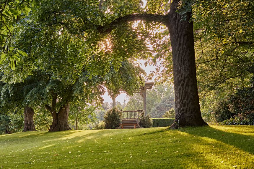 A view of the grounds of the Fondation Beyeler