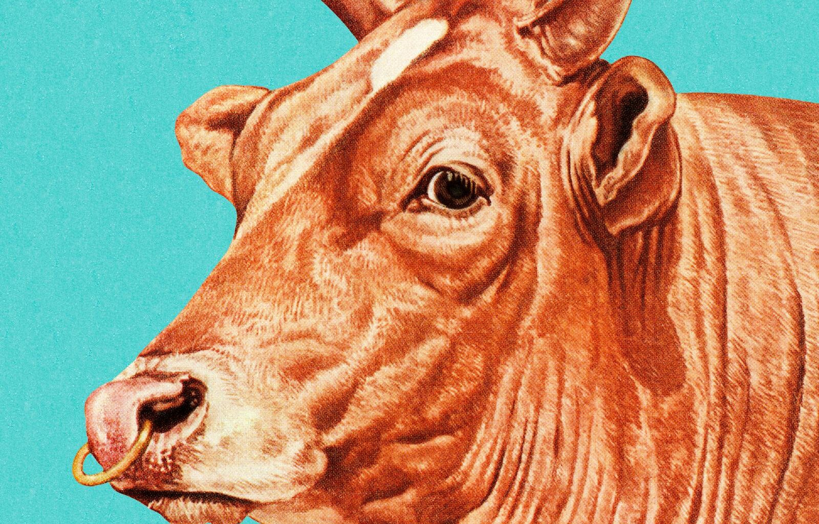 US stocks end volatile week on a positive note