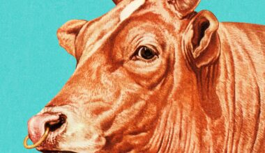 US stocks end volatile week on a positive note