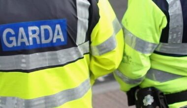 Gardai use pepper spray as two people arrested in ‘public disorder incident’ in East Wall