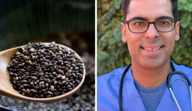 What happens to your body if you eat chia seeds for 14 days? Harvard gastro specialist has the answer