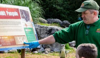 Fota Wildlife Park to close after suspected bird flu outbreak