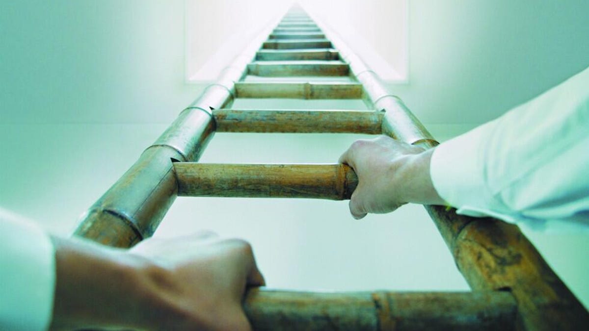 5 ways ambitious IT pros can future-proof their tech careers in an age of AI