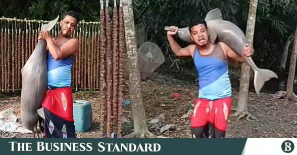 Man arrested after posting video holding endangered dolphin