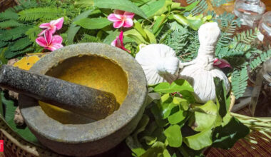 Indian Ayurveda economy valued at $43 billion: Ayush Secretary Kotecha