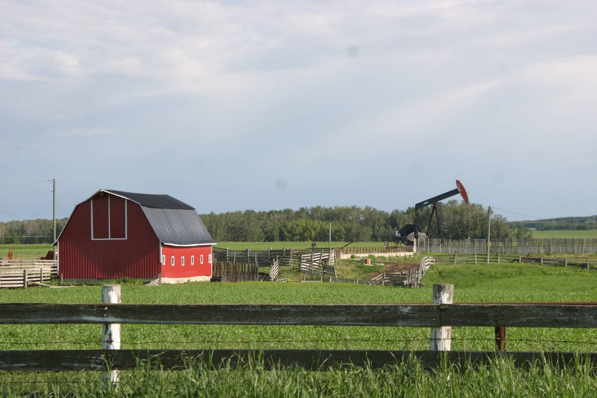A pumpjack works in a field behind an old red barn with some weathered gray wooden corrals beside it.