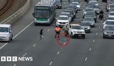 Duck family rescued from busy Australian motorway