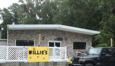 Four killed and 20 injured in mass shooting in US – The Irish Times