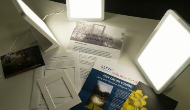 Got the winter blues? Borrow a lightbox from the library