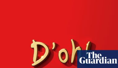 Are we living in a golden age of stupidity? | Artificial intelligence (AI)