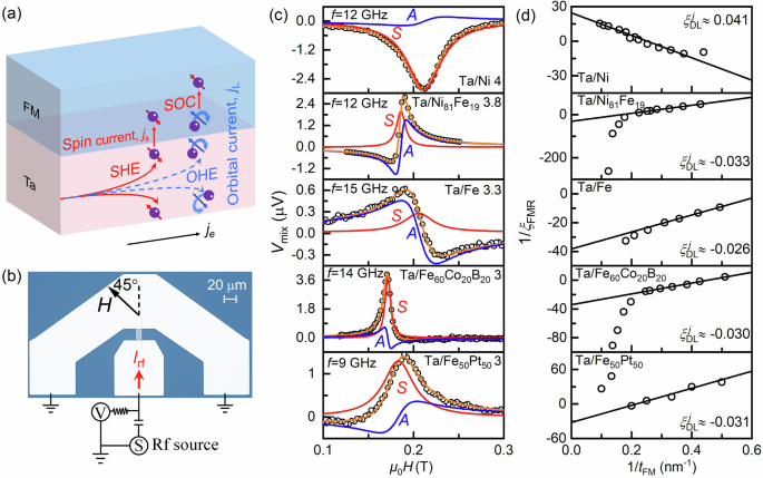 Absence of orbital current torque in Ta/ferromagnet bilayers