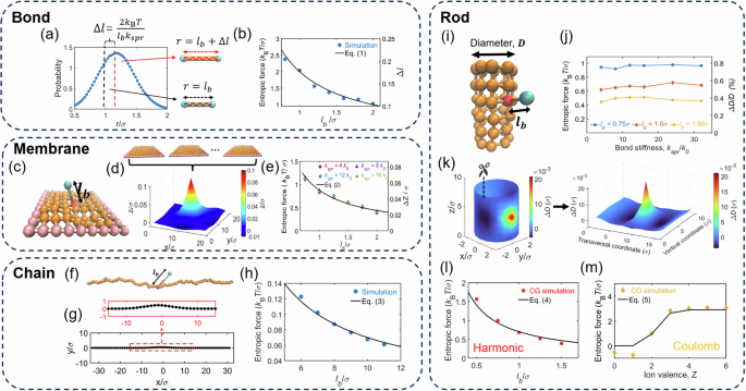 A universal entropic pulling force caused by binding