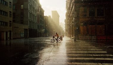 Daniel Arnold’s Stark, Sentimental Portrait of New York