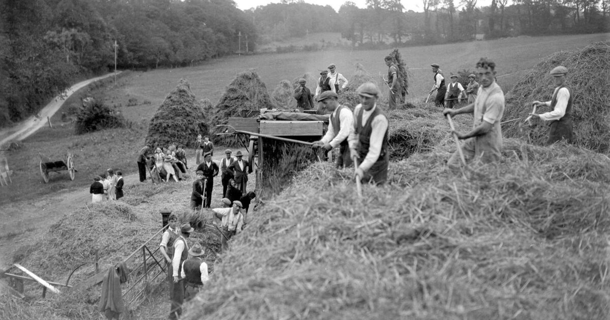 Ould Lehane has finally found his element in Positive Ageing Week