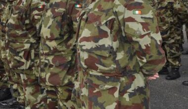 Ireland not using soft EU defence loan fund as markets 'cheaper'