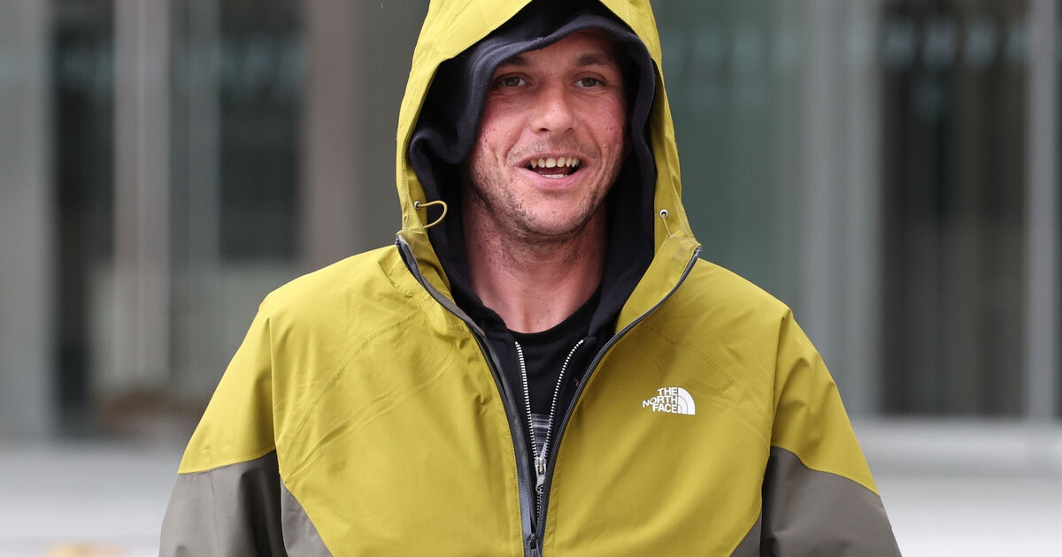 Man charged over alleged assault on Catherine Connolly canvasser granted bail