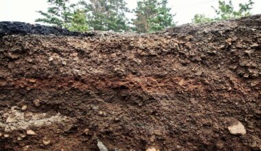 Developing a carbon farming framework in Ireland