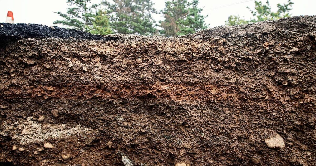 Developing a carbon farming framework in Ireland