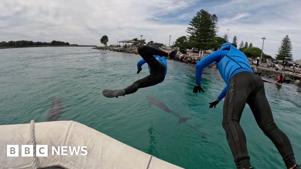 Dolphin calf rescued from fishing line entanglement