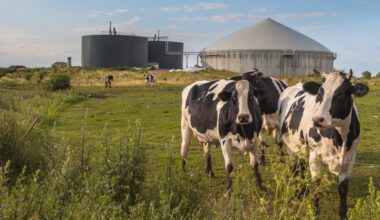 Louth poised to lead Ireland’s biomethane revolution, says TD