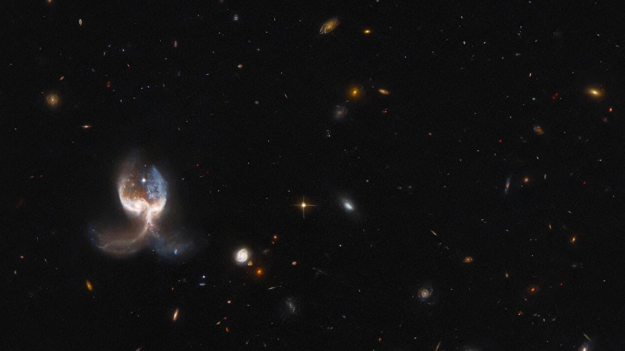 The NASA/ESA Hubble Space Telescope photographed the VV689 system, which consists of two massive merging galaxies, giving the system a symmetrical "wing" appearance.