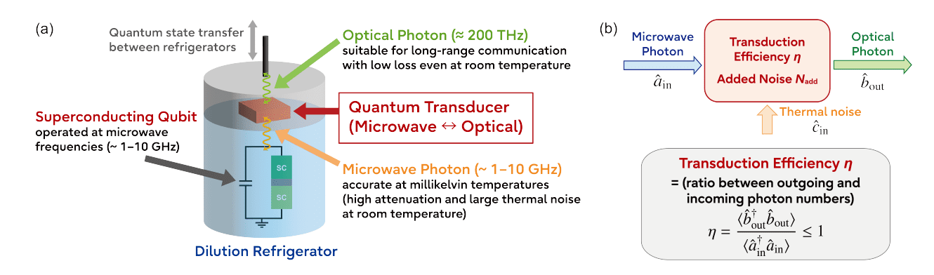 Microwave-to-optical Quantum Transduction Enables Quantum Networks and Distributed Quantum Computing