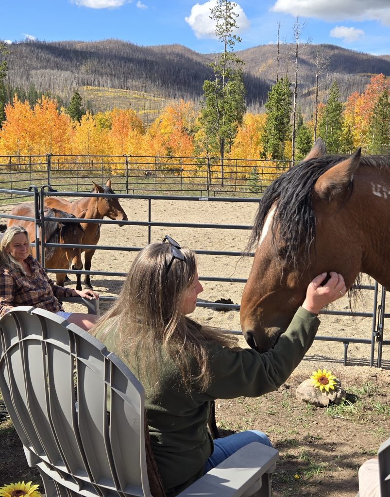 Mental wellness sessions come in all shapes, sizes
