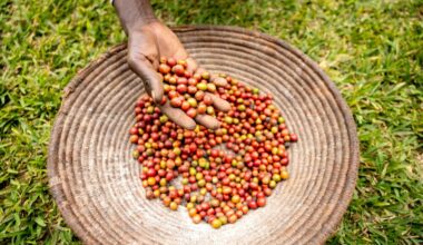Rapidly changing market dynamics spur coffee prices fluctuations in September