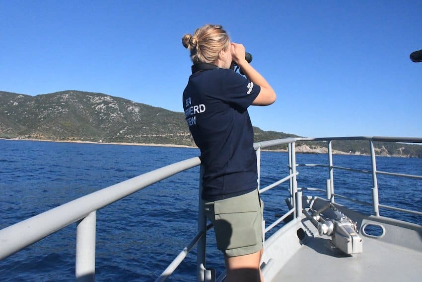 Marine scientist surveying vaquitas