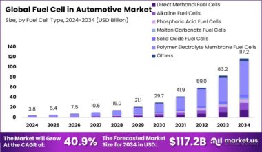 Fuel Cell in Automotive Market