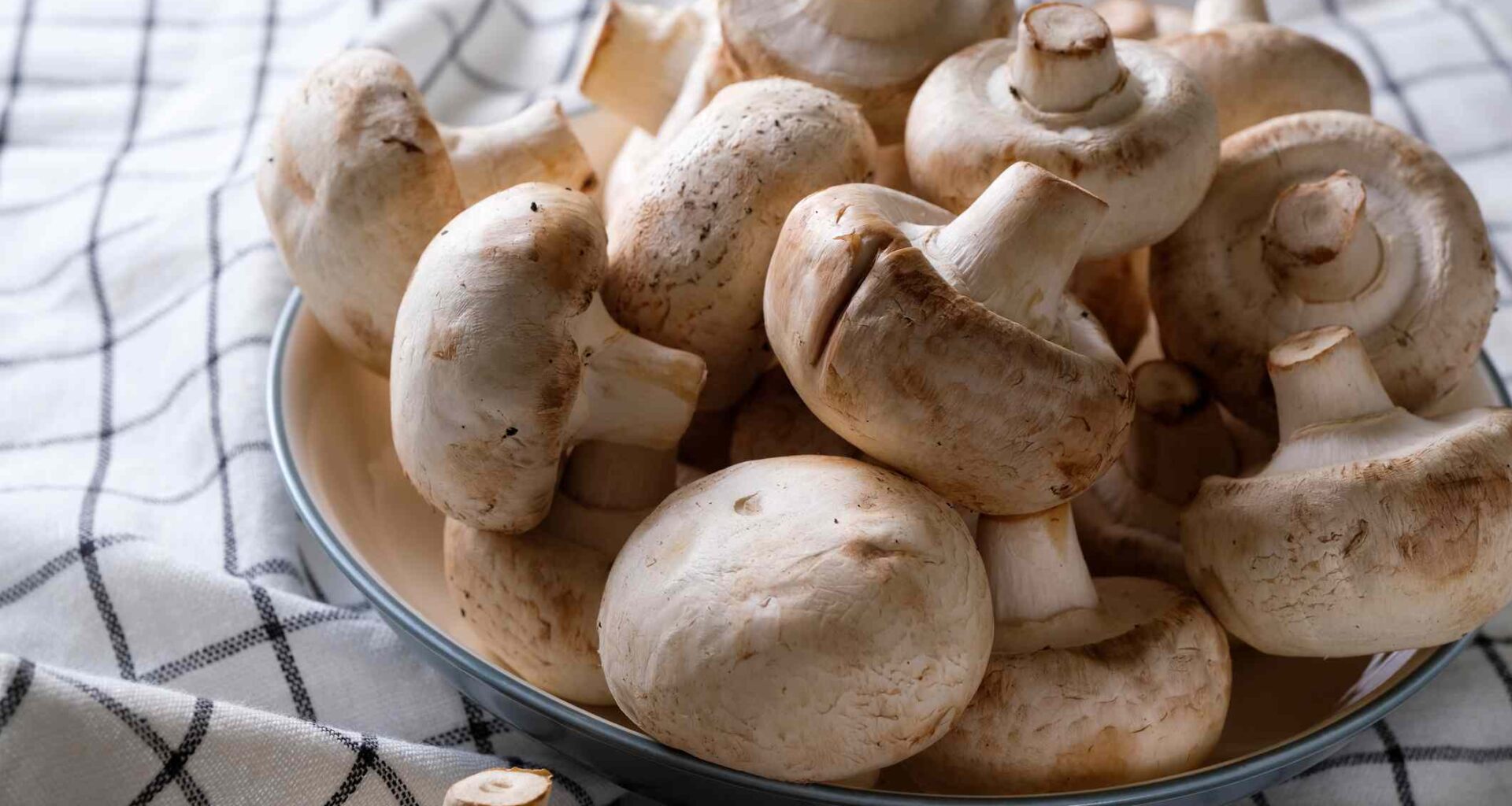 What Happens to Your Body When You Eat Mushrooms Regularly