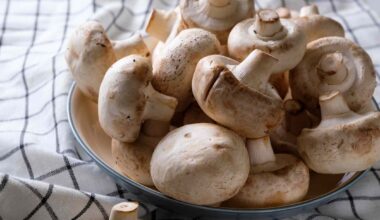 What Happens to Your Body When You Eat Mushrooms Regularly