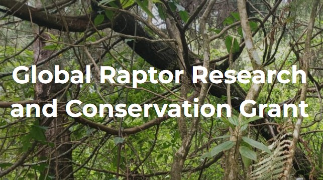 Global Raptor Research and Conservation Grant - Apply Before 15 January 2026